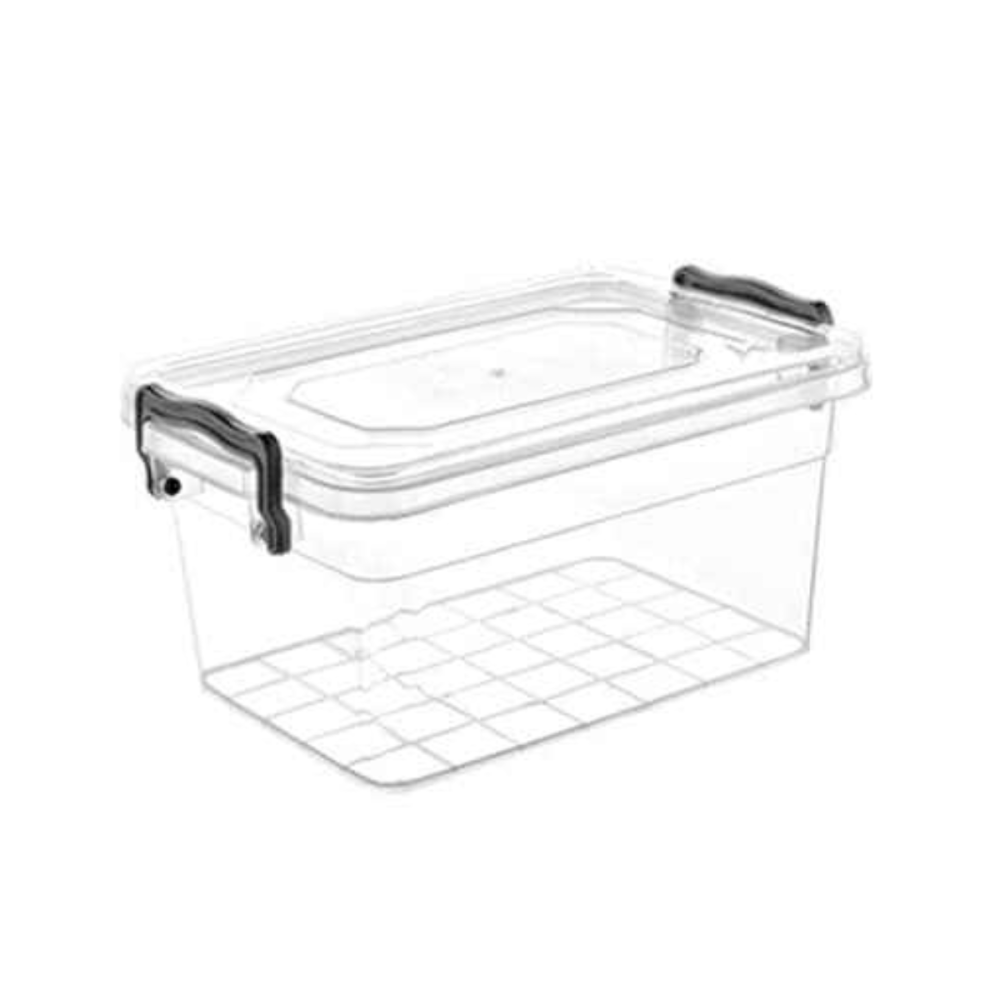 CAJA C/TAPA 11 LTS 38x25x17 cm