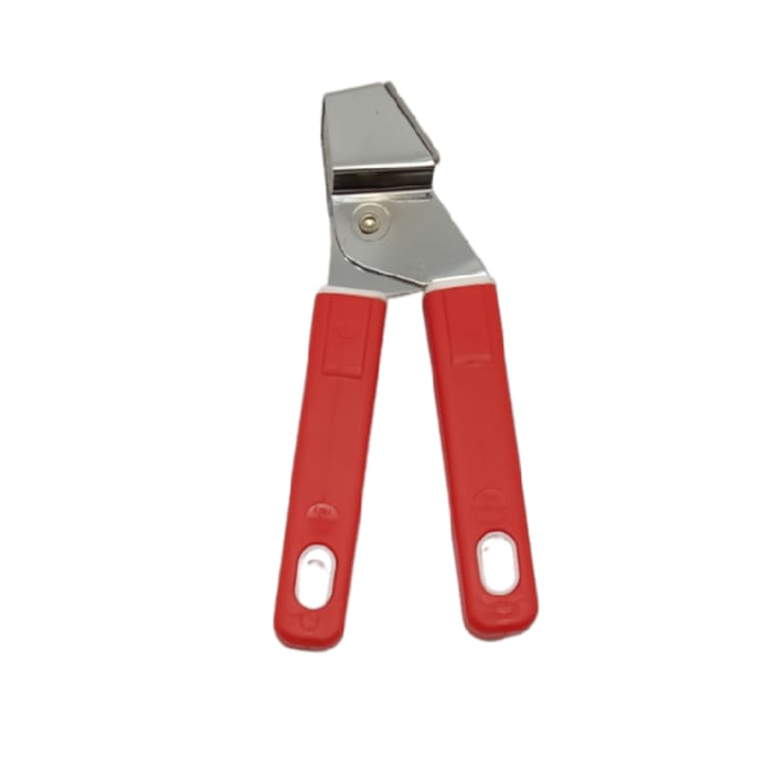 EXPRIME AJOS CON BLISTER ELLEGIBI