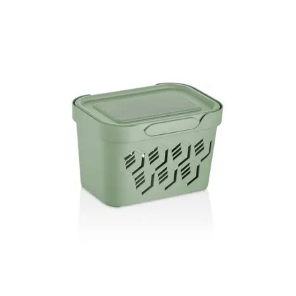 ORGANIZADOR 2.25 LTS
